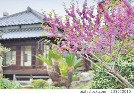蕨市歷史民俗博物館分館 135950010