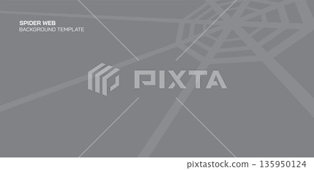 Spider web background vector illustration. 135950124