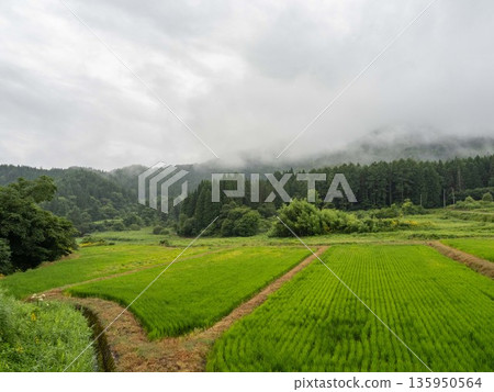 國家景觀 135950564