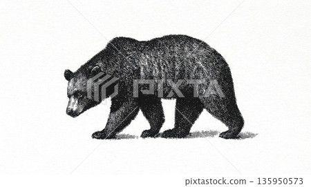 Brown bear walking in forest Brown bear walking in forest 135950573