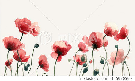 Poppies grow in a field of flowers 135950599