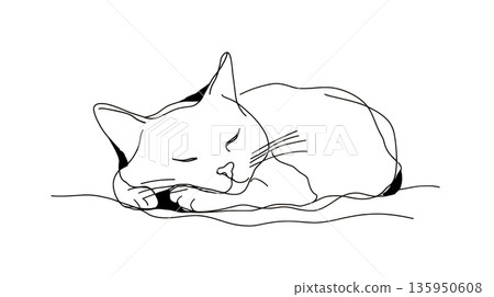 Cat resting quietly on a blanket Cat resting quietly on a blanket 135950608