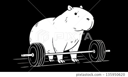 Capybara lifts weights in gym scene 135950620