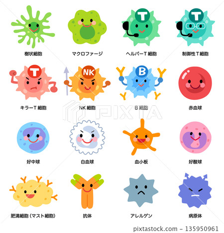 Cell/lymphocyte types Cell/lymphocyte types 135950961