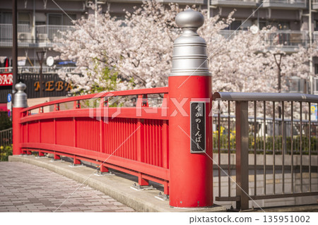 中野區/中野新橋的櫻花 135951002