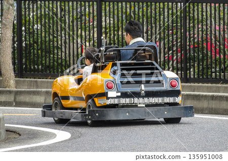 Go-karts at an amusement park for parents and children to enjoy 135951008
