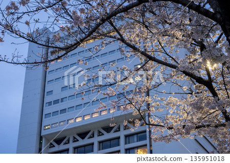 Cherry Blossoms in Nakano Ward/Nakano Street Cherry Blossoms in Nakano Ward/Nakano Street 135951018