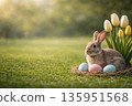 Easter rabbit sitting near pastel eggs and yellow tulips on green spring meadow 135951568