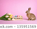 Easter bunny sitting near pastel eggs in wooden box with tulips on pink background 135951569