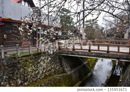 Old townscape of Takayama City, Gifu Prefecture, Japan. Old houses exuding a sense of history. Morning scene during the Takayama Spring Festival. A stream running through the city. 135951671