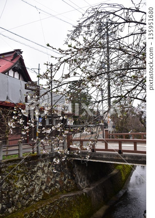 Old townscape of Takayama City, Gifu Prefecture, Japan. Old houses exuding a sense of history. Morning scene during the Takayama Spring Festival. A stream running through the city. Old townscape of Takayama City, Gifu Prefecture, Japan. Old houses exuding a sense of history. Morning scene during the Takayama Spring Festival. A stream running through the city. 135951680