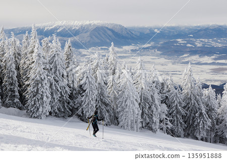 Chairlift over snowy forest in Poiana Brasov, Romania Chairlift over snowy forest in Poiana Brasov, Romania 135951888