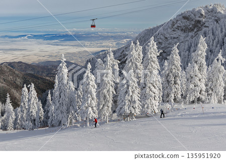 Admirable winter ski slope with skiers and snow covered pine forest in background, Poiana Brasov, Carpathians, Romania, Europe 135951920