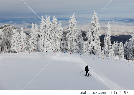 Chairlift over snowy forest in Poiana Brasov, Romania 135951921