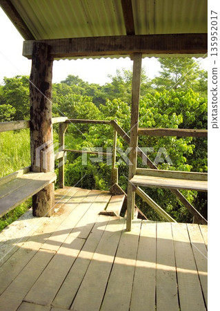 在奇特旺國家公園的瞭望塔休息 在奇特旺國家公園的瞭望塔休息 135952017