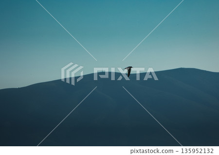 A sweeping mountain landscape in August 2025, with tiered, wooded hills under a clear summer sky. A sweeping mountain landscape in August 2025, with tiered, wooded hills under a clear summer sky. 135952132