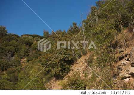 A sweeping mountain landscape in August 2025, with tiered, wooded hills under a clear summer sky. A sweeping mountain landscape in August 2025, with tiered, wooded hills under a clear summer sky. 135952162