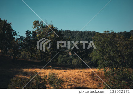 A sweeping mountain landscape in August 2025, with tiered, wooded hills under a clear summer sky. A sweeping mountain landscape in August 2025, with tiered, wooded hills under a clear summer sky. 135952171