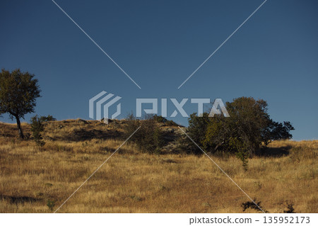 A sweeping mountain landscape in August 2025, with tiered, wooded hills under a clear summer sky. A sweeping mountain landscape in August 2025, with tiered, wooded hills under a clear summer sky. 135952173