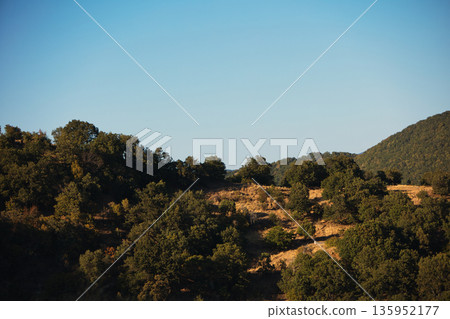 A sweeping mountain landscape in August 2025, with tiered, wooded hills under a clear summer sky. 135952177