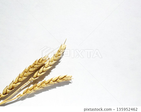 rye ears on a white background 135952462