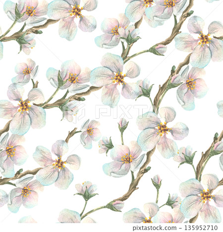 A seamless watercolor pattern with branches of white apple blossoms. Hand-drawn spring botanical illustration for Mother's Day, Easter, and weddings. A seamless watercolor pattern with branches of white apple blossoms. Hand-drawn spring botanical illustration for Mother's Day, Easter, and weddings. 135952710