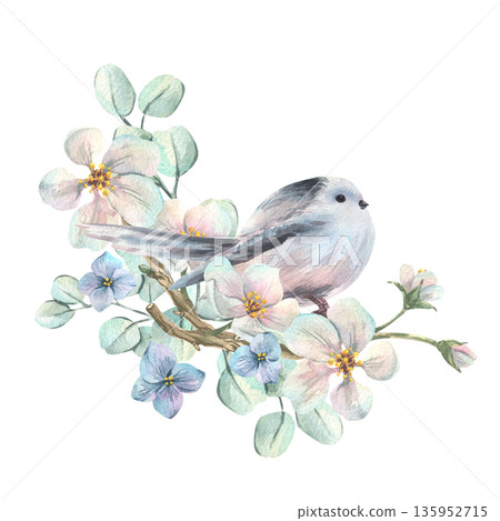 A long-tailed tit perched on a blossoming white apple tree with hydrangea flowers and eucalyptus branches. A delicate hand-drawn watercolor illustration for spring wedding and holiday design A long-tailed tit perched on a blossoming white apple tree with hydrangea flowers and eucalyptus branches. A delicate hand-drawn watercolor illustration for spring wedding and holiday design 135952715