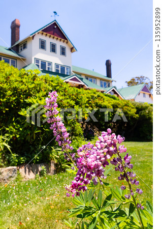 Mt Buffalo Chalet in Victoria Australia Mt Buffalo Chalet in Victoria Australia 135952899