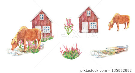 Red horse of Iceland on field and wooden house. Pink heather purple bloom and green bush, field. Traditional landscape. Watercolor set clip art. For travel design tourist maps cards and books banners. Red horse of Iceland on field and wooden house. Pink heather purple bloom and green bush, field. Traditional landscape. Watercolor set clip art. For travel design tourist maps cards and books banners. 135952992