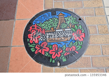 岐阜縣大垣市的井蓋 135953346