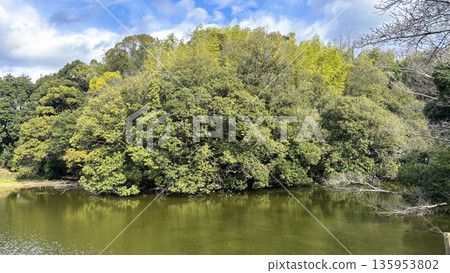 The moat surrounding Gokasho Futagozuka Tomb 135953802