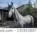 The sacred horse of Kohata Shrine in Gokasho, Uji City 135953807