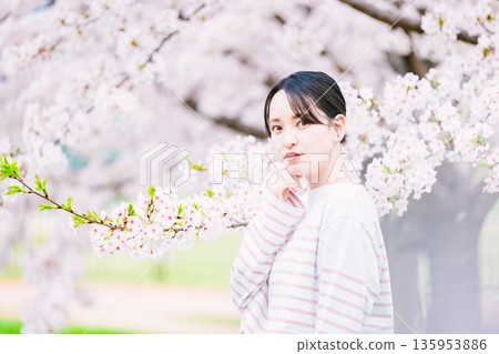 盛開的櫻花和年輕女性 盛開的櫻花和年輕女性 135953886