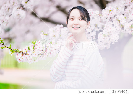 盛開的櫻花和年輕女性 135954043