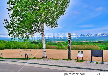 Roller coaster road scenery Roller coaster road scenery 135954133