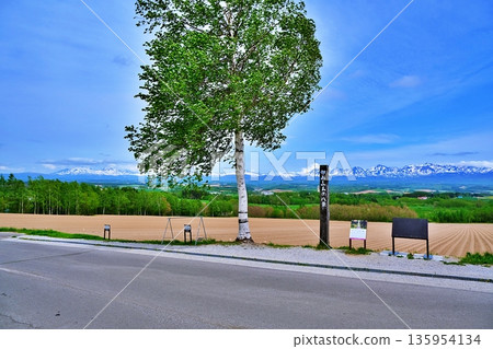 Roller coaster road scenery Roller coaster road scenery 135954134