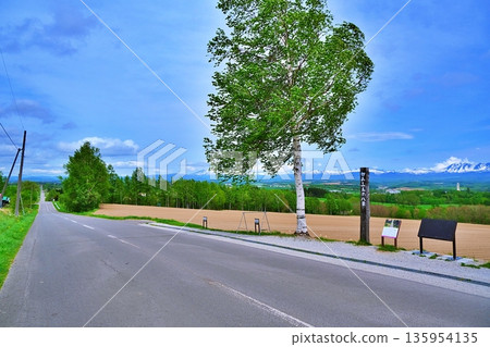 雲霄飛車公路風景 135954135