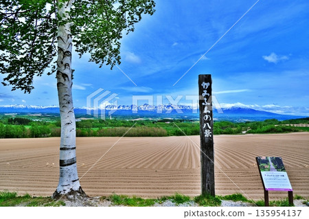 Roller coaster road scenery Roller coaster road scenery 135954137