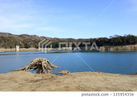 關東水箱湖築井湖 關東水箱湖築井湖 135954356