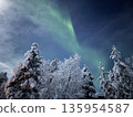 白雪皚皚的樹木和極光 135954587