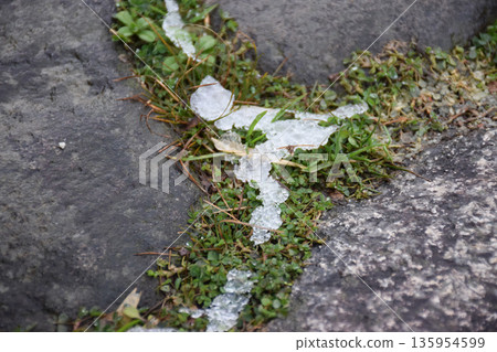 Image of mossy cobblestones with remaining snow 135954599