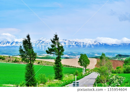 過山車路徑 135954604