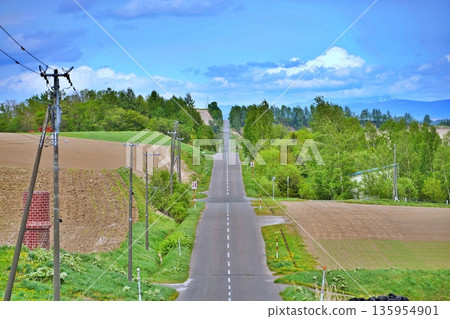 Roller coaster path 135954901