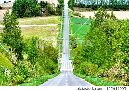 過山車路徑 過山車路徑 135954905