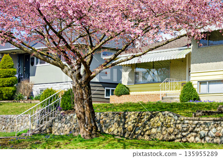 Entrance of the family house under the canopy with front lawn on the land terrace Entrance of the family house under the canopy with front lawn on the land terrace 135955289