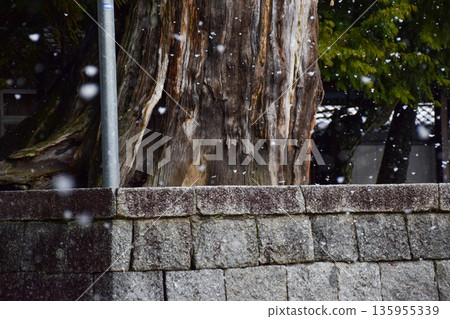 Image of the temple grounds on a snowy day 135955339