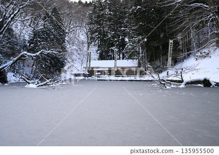 Shellfish Pond, Winter 135955500