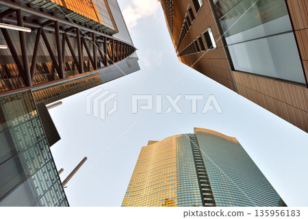 The forest of high-rise buildings in Shiodome The forest of high-rise buildings in Shiodome 135956183