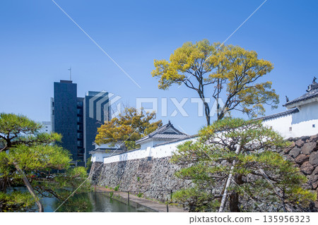 府中城堡玩具和大分市政府政府大樓 府中城堡玩具和大分市政府政府大樓 135956323