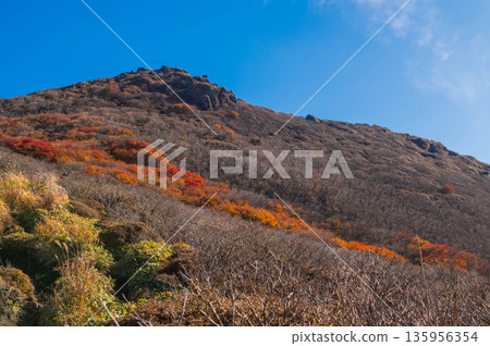 美摩陀山IV峰下方秋葉美景 美摩陀山IV峰下方秋葉美景 135956354